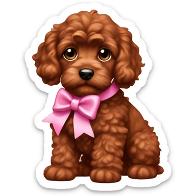 Full body reddish brown baby cockapoo with pink bow sticker