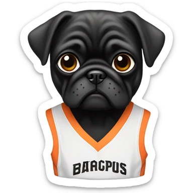 Black pug in a San Francisco basketball uniform sticker