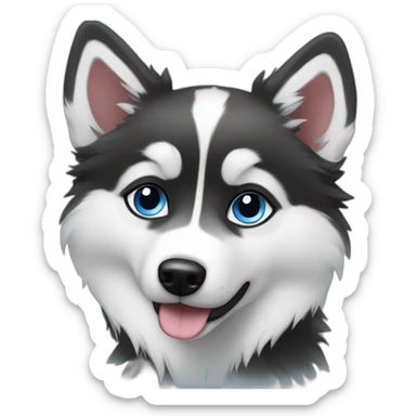Pomsky black & white blue eyes sticker