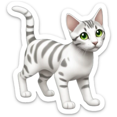 light white and grey domestic shorthair tabby with green and blue eyes black pupils, walking and playing sticker