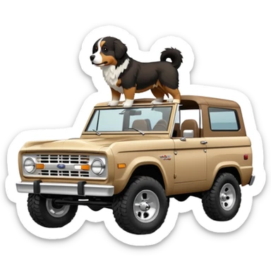 Sand colored ford bronco with no roof and Bernese mountain dog in the back sticker