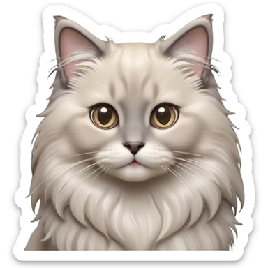 Cinematic Adorable Fluffy Grey Ragdoll Cat Portrait Emoji, Head tilted cutely with big, sparkling eyes, soft grey fur with lighter tones around the face and paws, Simplified yet irresistibly adorable features, highly detailed, glowing with a soft, warm glow, high shine, affectionate and playful, stylized with a touch of whimsy, bright and endearing, soft glowing outline, capturing the essence of a curious and loving kitten, so cute it feels like it could leap out of the screen and snuggle up for a cuddle! sticker