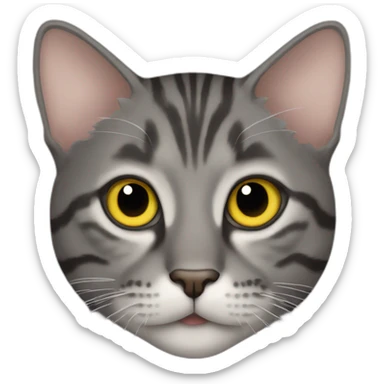 dark gray tabby cat with yellow eyes, black nose, some brown around mouth, left ear tip missing sticker