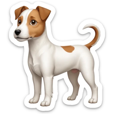 a full body large white parson russell looking dog the size of a kelpie with light brown ears and a light brown patch on one eye and a large snout sticker