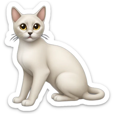 Chat siamois sticker