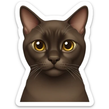 dark brown burmese cat sticker
