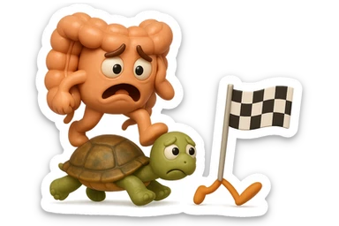  EMOJI STILE IPHONE 3D DI UN INTESTINO CON ESPRESSIONE ANGOSCIATA CHE CAMMINA SUL GUSCIO DI UNA TARTARUGA IN ATTESA ESTENUANTE DI RAGGIUNGERE UN TRAGUARDO POCO PIù AVANTI, SULLA LORO DESTRA. IL TRAGUARDO è UNA BANDIERA A DUE PIEDI CON FASCIA A SCACCHI BIANCHI E NERI. iperrealistico 4k sticker