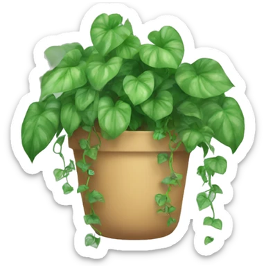 pothos plant hanging vines  sticker