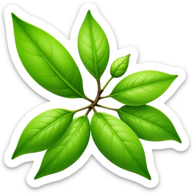 Fresh green tea buds with young tender leaves sticker