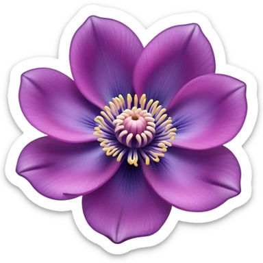 Manjano anemone  sticker