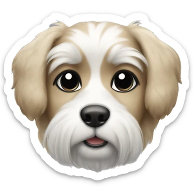 Furry dog with black around the eyes and white sticker