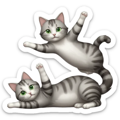 grey and white cat with green eyes doing a big extremely long stretch reaching up into the air with arms and legs side by side together straight and overextended whilst lying on its side sticker