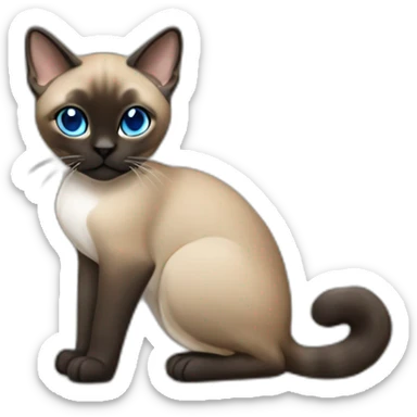 Khaki brown and black siamese Cat sitting down with blue eyes and white chin and white feet sticker