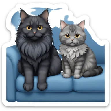 A large black smoke Maine Coon cat with long grey ear tufts and a fluffy grey ruff, sitting next to a chubby British Shorthair cat in blue color with plush fur, both sitting comfortably on a sofa. Beautiful room background with flowers and soft lighting. Transparent background. sticker