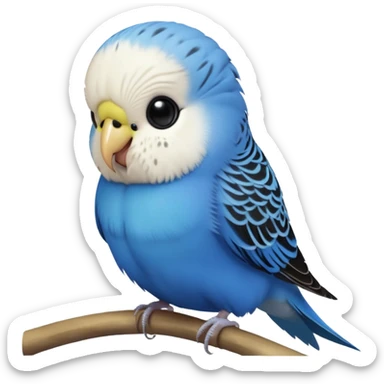 cinematic-cute-blue-budgie-portrait-emoji,-head-tilted-playfully-and-inquisitively,-featuring-a-brilliant-blue-feathered-fur-and white and black feathered face-with-a-natural-sheen,-round,-sparkling-dark-eyes-filled-with-curiosity,-simplified-yet-irresistibly-adorable sticker