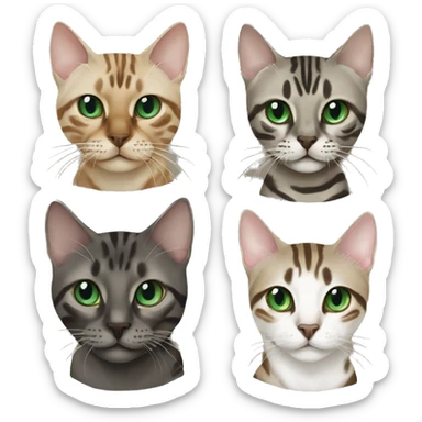 Seal Bengal cat with Blue eyes with a charcoal Sepia bengal cat with Green eyes sitting  sticker