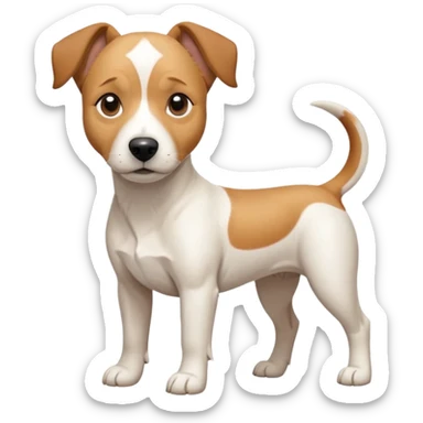 a full body facing front on of a buff white beagle cross jack russell terrier looking dog the size of a kelpie with light brown long ears resting on its face and a light brown patch above one eye and a large snout. the rest of the dog is completely white.  sticker