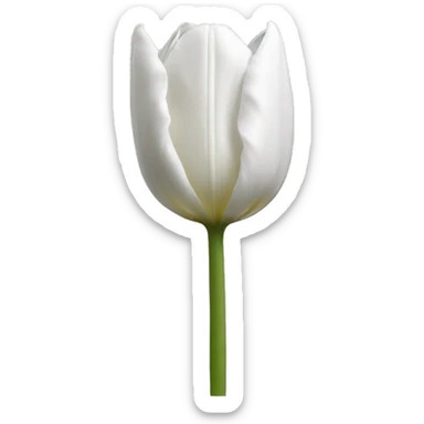 wite tulip sticker