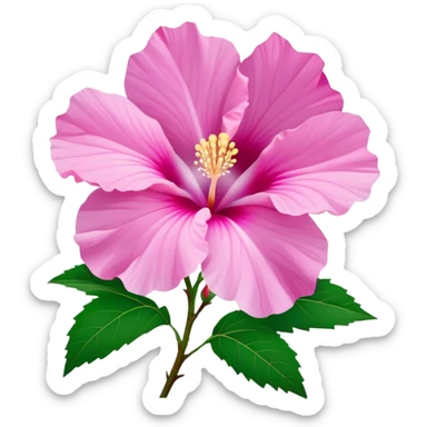 Cinematic Realistic image of a Mugunghwa flower (Rose of Sharon), rendered with delicate petal textures and vibrant pink hues, set against a minimalist background with gentle, diffused lighting that highlights its national significance sticker