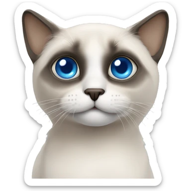 Siamois avec les yeux bleu  sticker