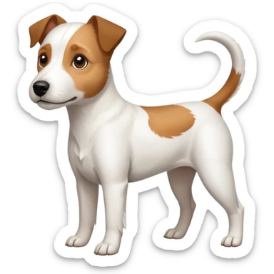 a full body slightly chubby white parson russell terrier looking dog the size of a kelpie with light brown long ears and a light brown patch on one eye and a large snout. the rest of the dog is completely white sticker