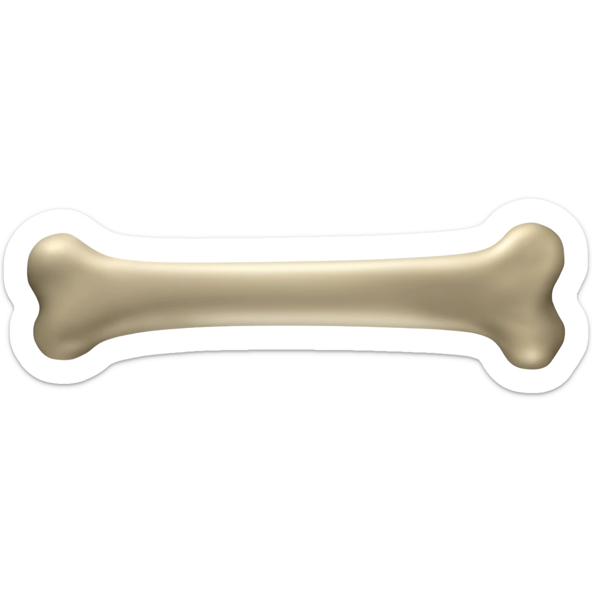 huesos femur sticker