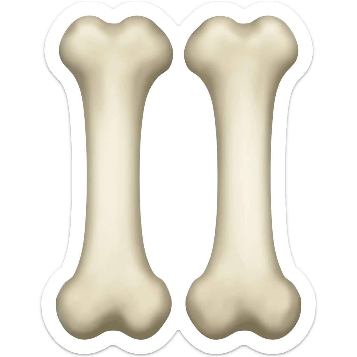 huesos femur dos sticker