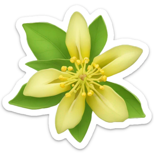 Ashwagandha flower with greenish-yellow petals and a central yellow stamens emojis sticker