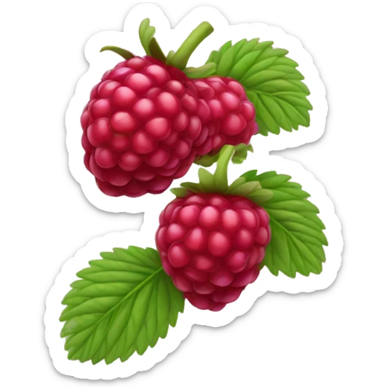 raspberry  sticker