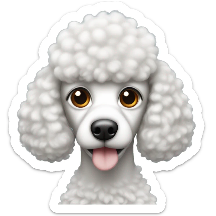 It's a poodle mixed with black and white, but the fish is black and the nose is a little white, and the forehead has a flame pattern sticker