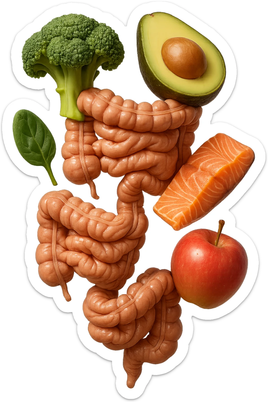 cibo sano fluttua in aria verticalmente stringendo piccoli colon umani, stile emoji iphone, iperrealistico 4k sticker