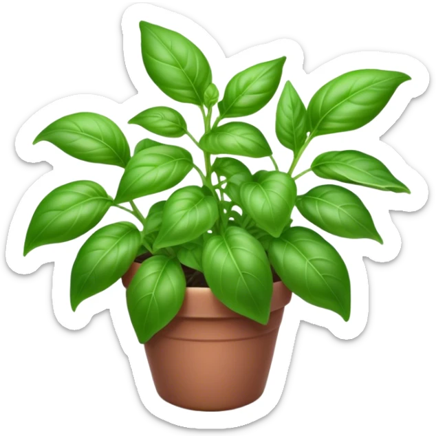 Cinematic Realistic Basil Emoji, Lush and fragrant, with vibrant green leaves that release a fresh, herbal aroma. The soft, glossy leaves are delicately arranged along slender stems, exuding vitality and flavor. Soft glowing outline, capturing the essence of freshness, growth, and aromatic delight in a blossoming basil plant! sticker