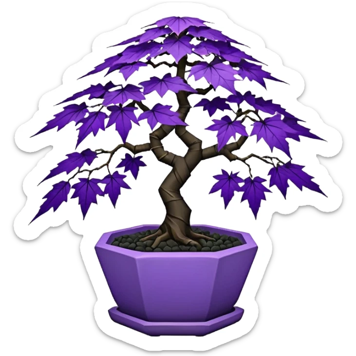  small short cascading black violet bonsai pot plant purple lace-leaves maple tree with triangular angular multi-hexagon faceted asymmetrical originally shaped pot sticker