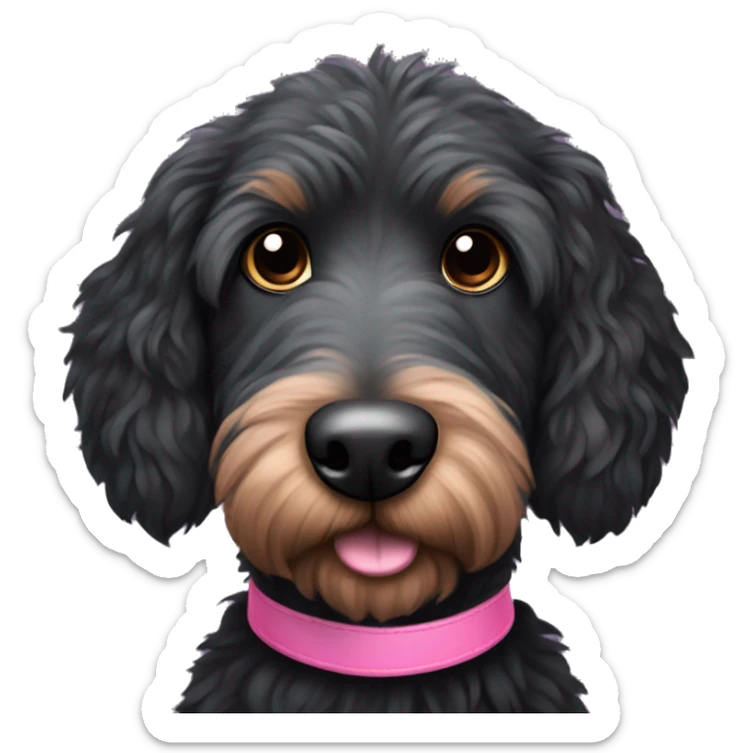 Scruffy black Australian doodle dog with pink collar and brown eyes and long black eyelashes  sticker