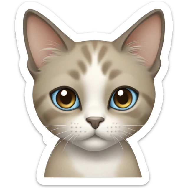 Thai breed cat with a light cream-brown body, dark gray nose and face, ears, and paws. sharp ears, and striking light blue eyes  sticker