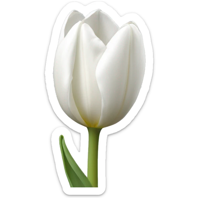 White tulip  sticker