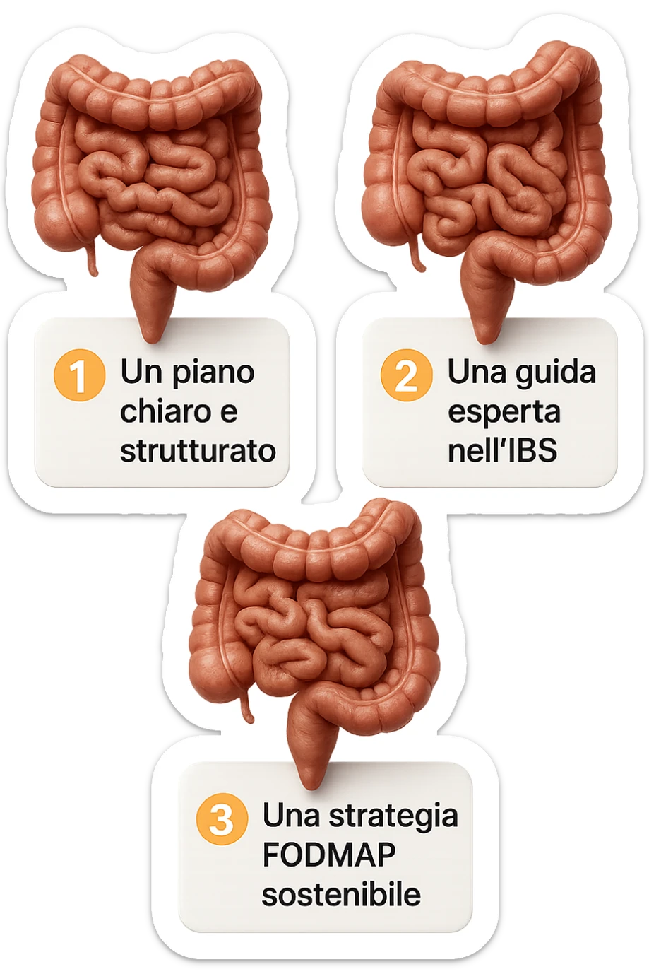 emoji stile iphone di 3 targhette numerate con intestino realistico davanti ad ogni targhetta, le targhette sono:
"1 – Un piano chiaro e strutturato
2 – Una guida esperta nell’IBS
3 – Una strategia FODMAP sostenibile"
, iperrealistico 4k sticker