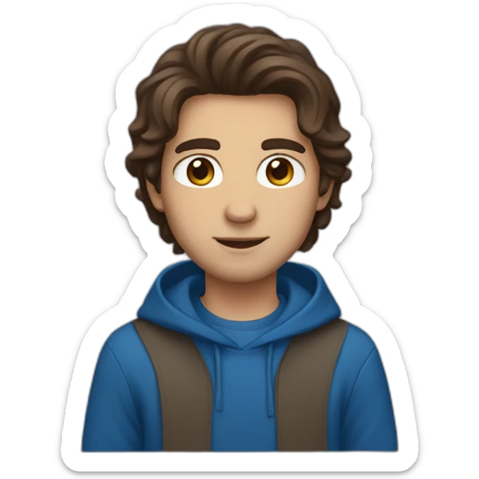 guy with middle long brown hair, big brown eyes and blu hoodie sticker