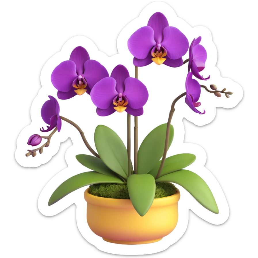 Realistic purple phalaenopsis orchid with rich lavender blooms and prominent large green leaves clearly visible sticker