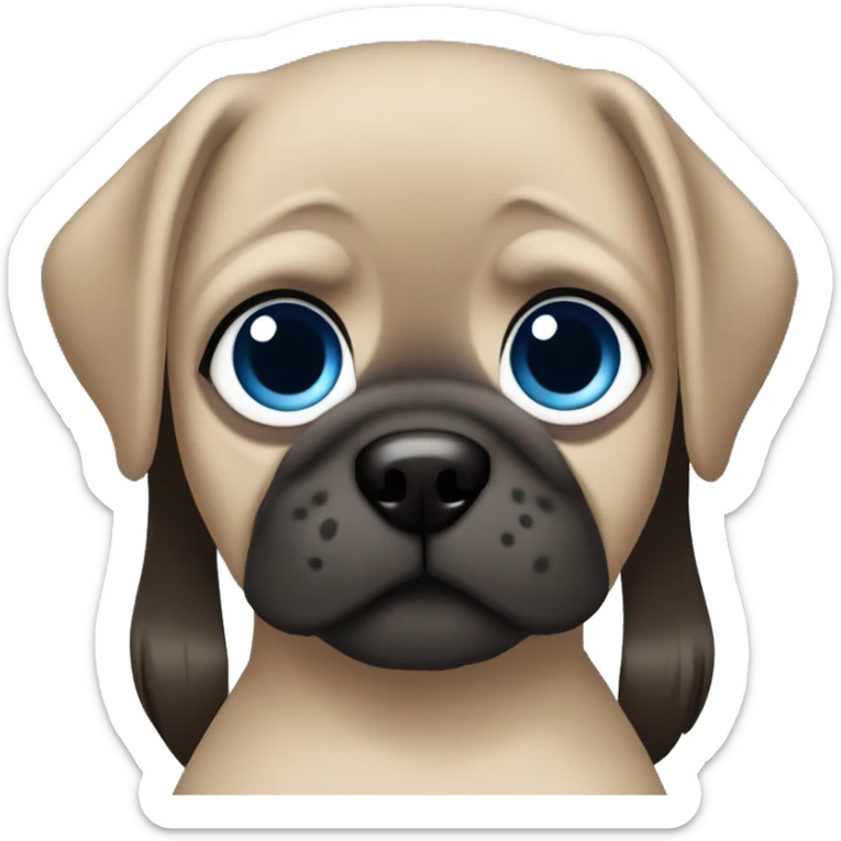 Brunette girl with straight hair and blue eyes with pug sticker