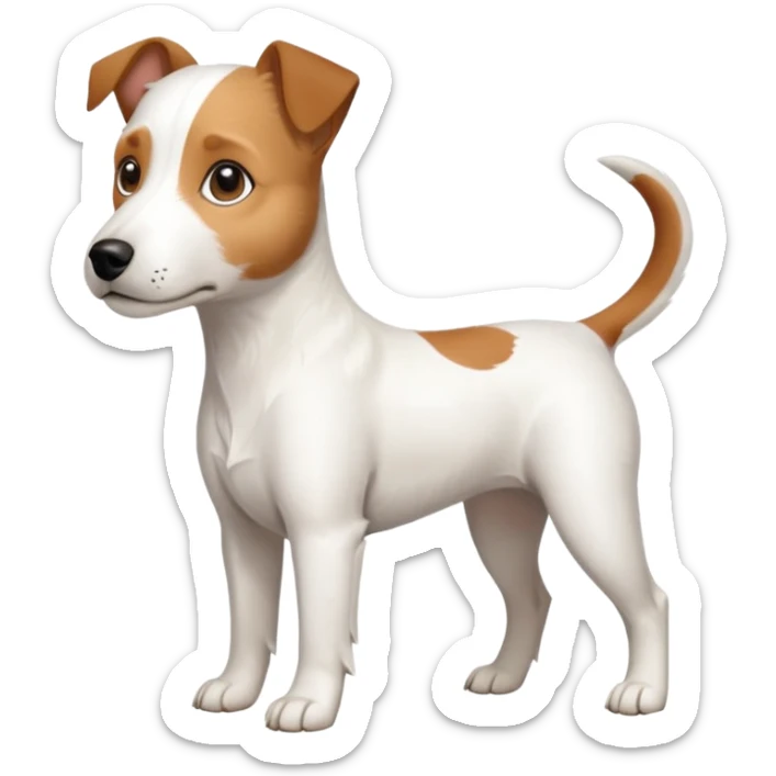 a full body slightly chubby white parson russell terrier looking dog the size of a kelpie with light brown long ears and a light brown patch on one eye and a large snout. the rest of the dog is completely whiteforward facing sticker