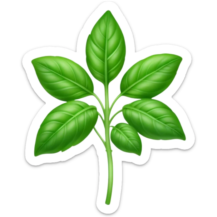 Cinematic Realistic Basil Emoji, Lush and fragrant, with vibrant green leaves that release a fresh, herbal aroma. The soft, glossy leaves are delicately arranged along slender stems, exuding vitality and flavor. Soft glowing outline, capturing the essence of freshness, growth, and aromatic delight in a blossoming basil plant! sticker