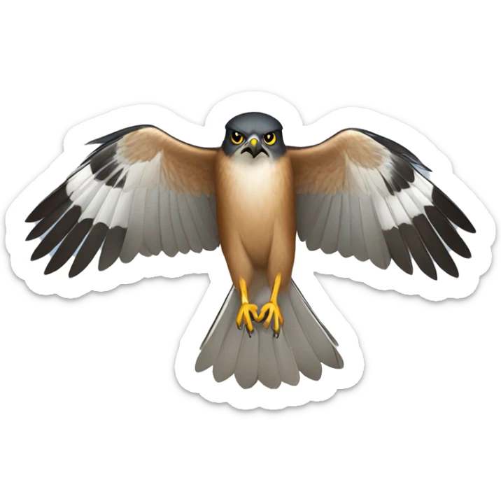 Sharp-shinned Hawk  sticker