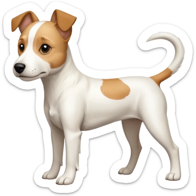 a full body facing front on of a buff white parson russell terrier looking dog the size of a kelpie with light brown long ears resting on its face and a light brown patch above one eye and a large snout. the rest of the dog is completely white.  sticker