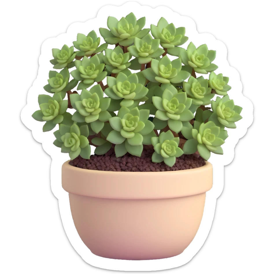 Sedum Pachyphyllum succulent with chubby blue-green leaves in a beige ceramic pot sticker