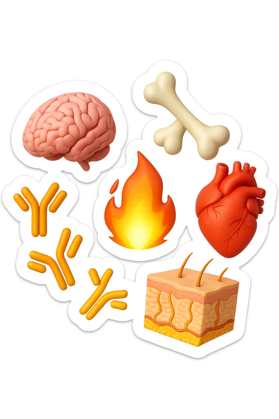 EMOJI STILE IPHONE 3D DI cervello, ossa, cuore, porzione di epidermide e cellule di anticorpi che girano in tondo, al centro di questi elementi c'è una fiamma 3d  FALLO MOLTO REALISTICO IN 3D sticker