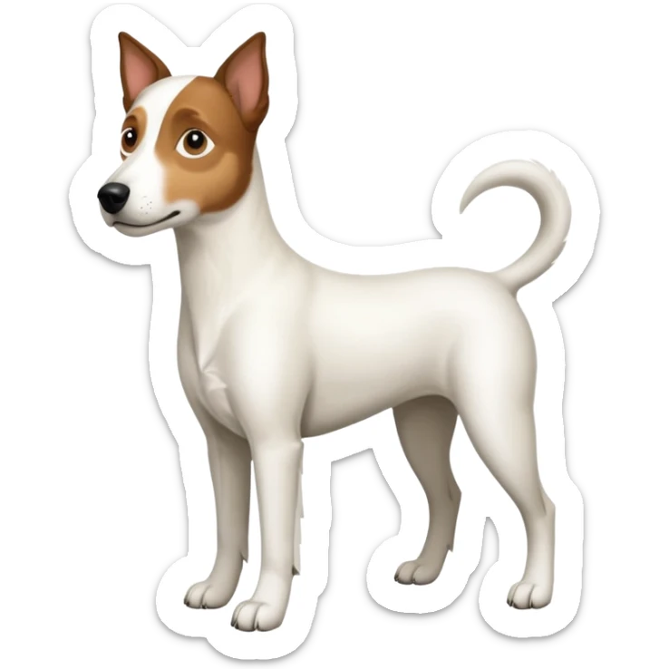 a full body large white parson russell looking dog the size of a kelpie with light brown ears and a light brown patch on one eye and a large snout sticker