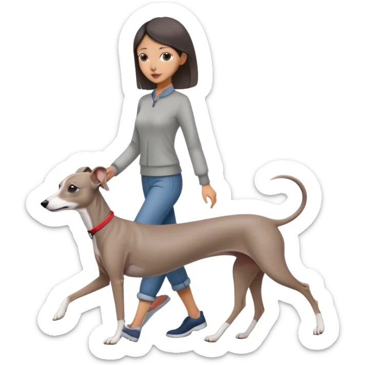 Beautiful Asian girl with cute features walking an all grey Italian greyhound with no white nose sticker