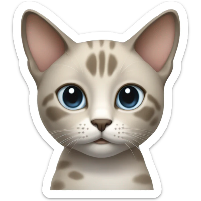 Thai breed realistic adult cat with a light cream -brown body, dark gray face, ears, and paws. Short fur, sharp ears, striking light blue eyes  sticker