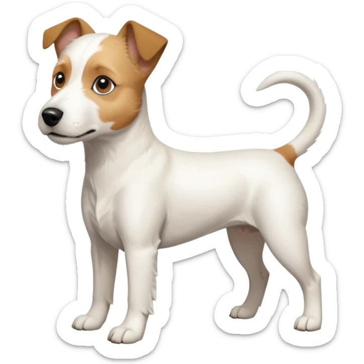 a full body buff white parson russell terrier looking dog the size of a kelpie with light brown long ears and a light brown patch on one eye and a large snout. the rest of the dog is completely white. forward facing sticker